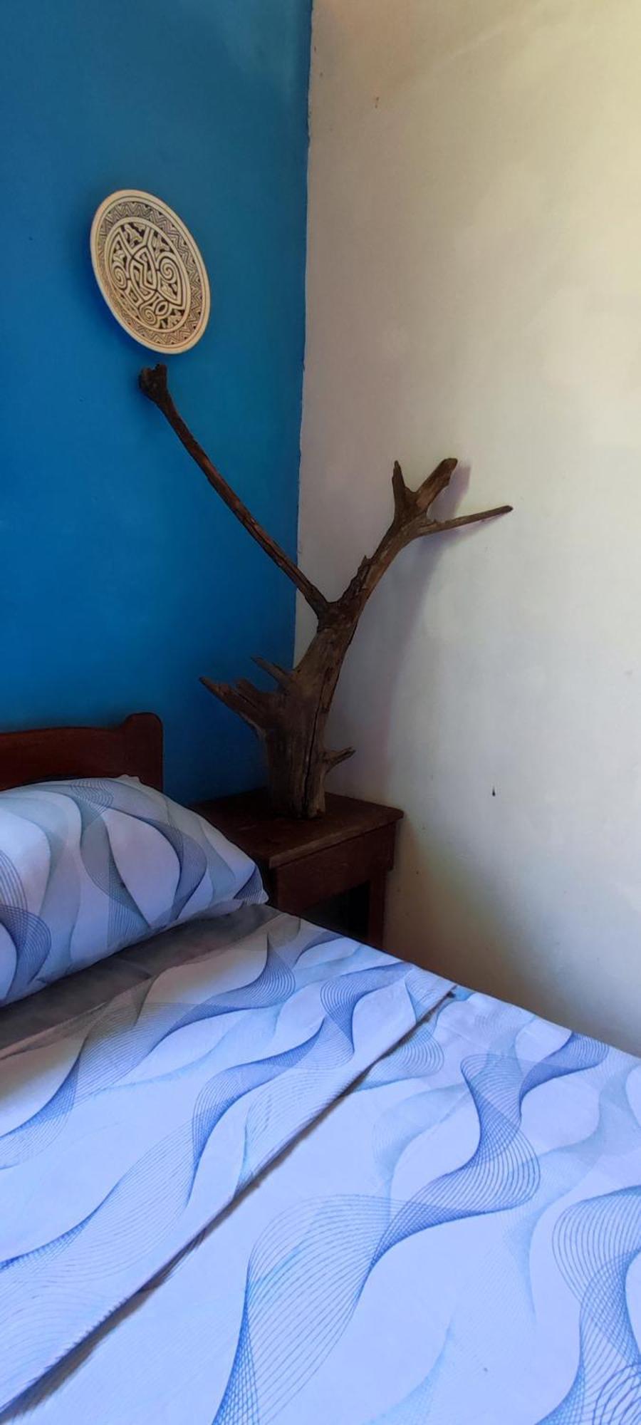 Eco Hostel Lunar 소우레 외부 사진